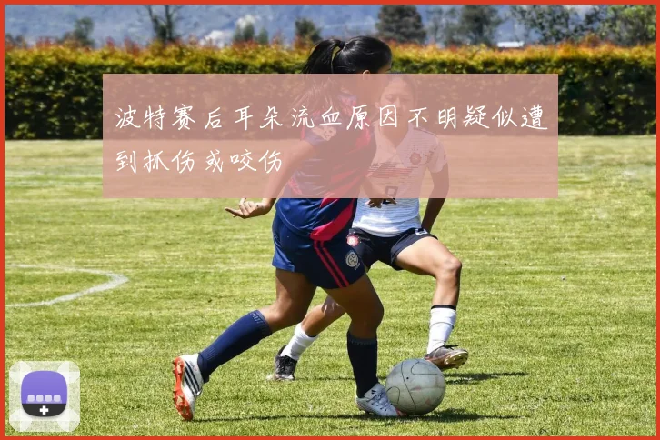 波特赛后耳朵流血原因不明疑似遭到抓伤或咬伤