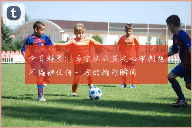 今日趣图：马宁以公正之心审判绝不偏袒任何一方的精彩瞬间